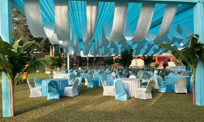 Ganesha Green Party Plot